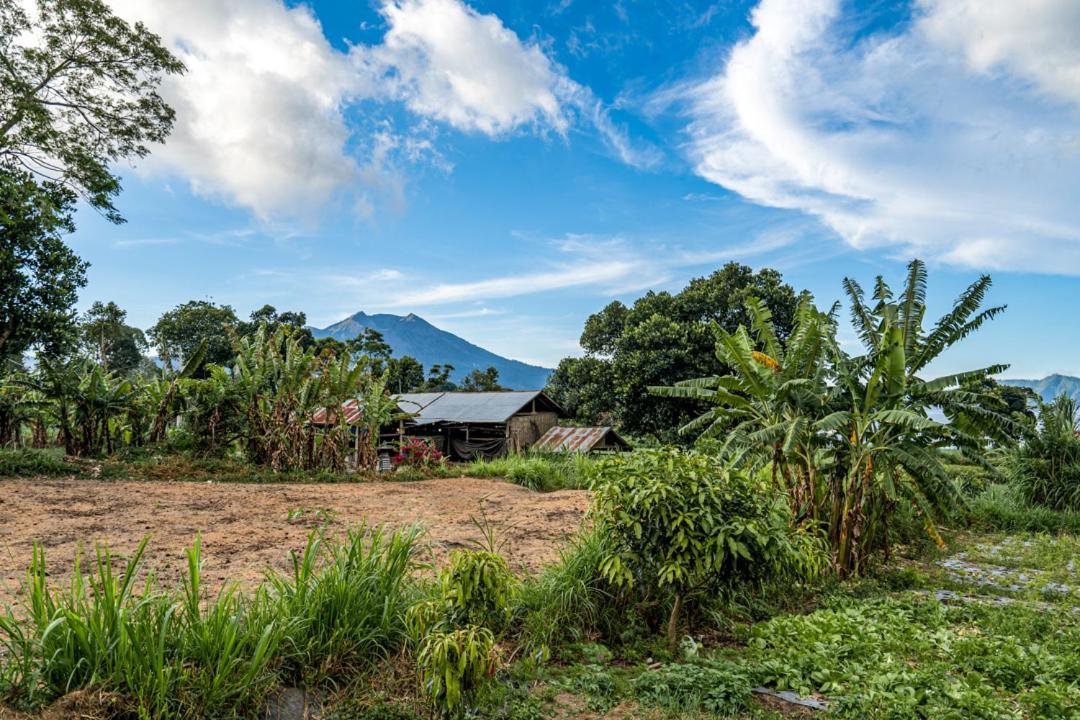 Pondok Manoka Kintamani  Exterior photo